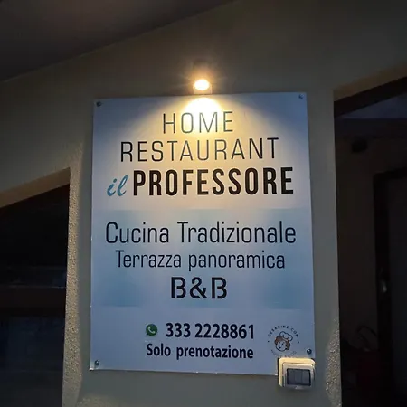 Il Professore *